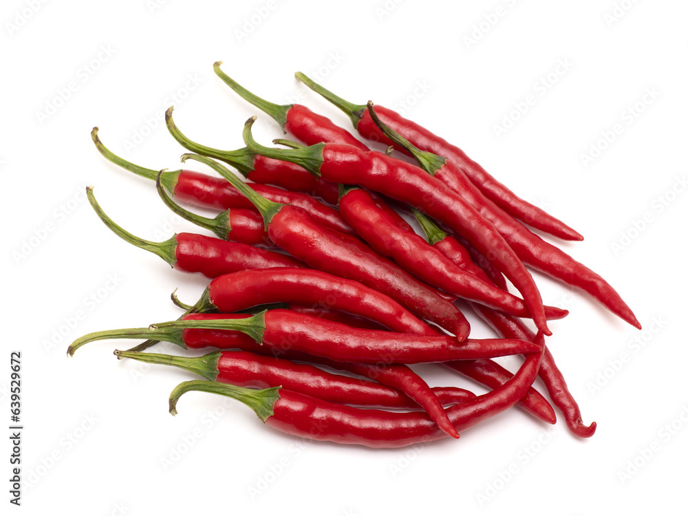 生のトウガラシ