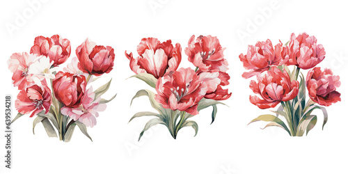watercolor red tulip clipart for graphic resources