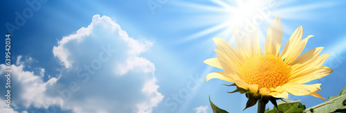 A sunflower on the bright blue sky, god rays, soft atmospheric light