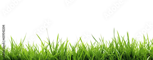 A green grassy area with a white background