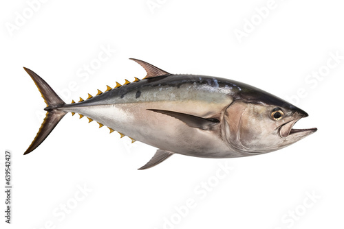 Tuna isolated