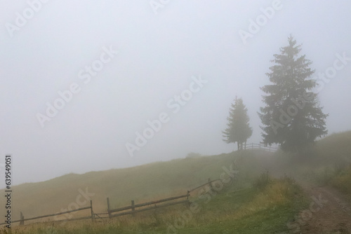 autumn morning fog in a mountain village, old fence, spruce trees and fog