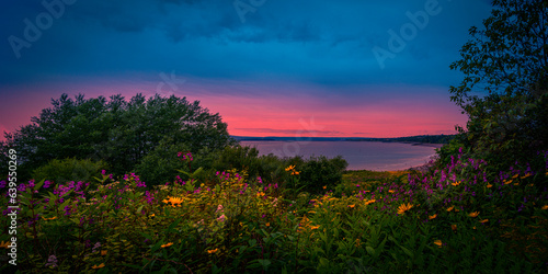 Canvastavla Wildflowers and stormy sunset seascape at Sheldon Point Scenic spot at Irving Na