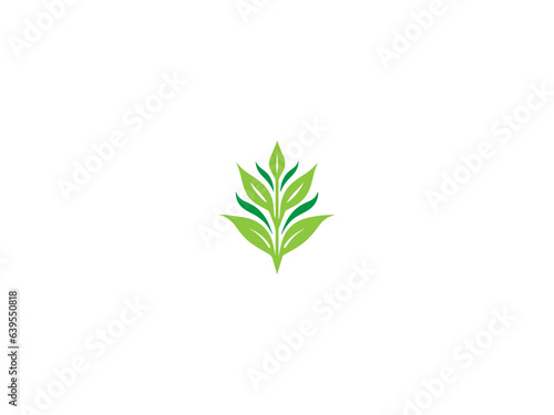 premium corn plant logo vector  vector and illustration 