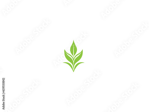 premium corn plant logo vector, vector and illustration,