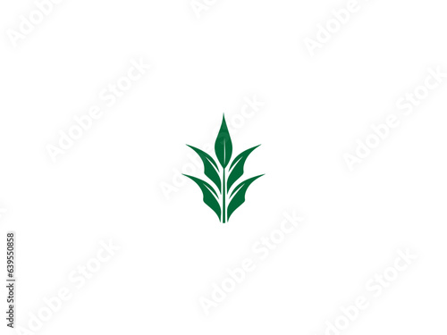 premium corn plant logo vector, vector and illustration,