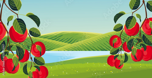 vector background of apple orchard with twigs, fruit and apple leaves in a beautiful landscape in summer 