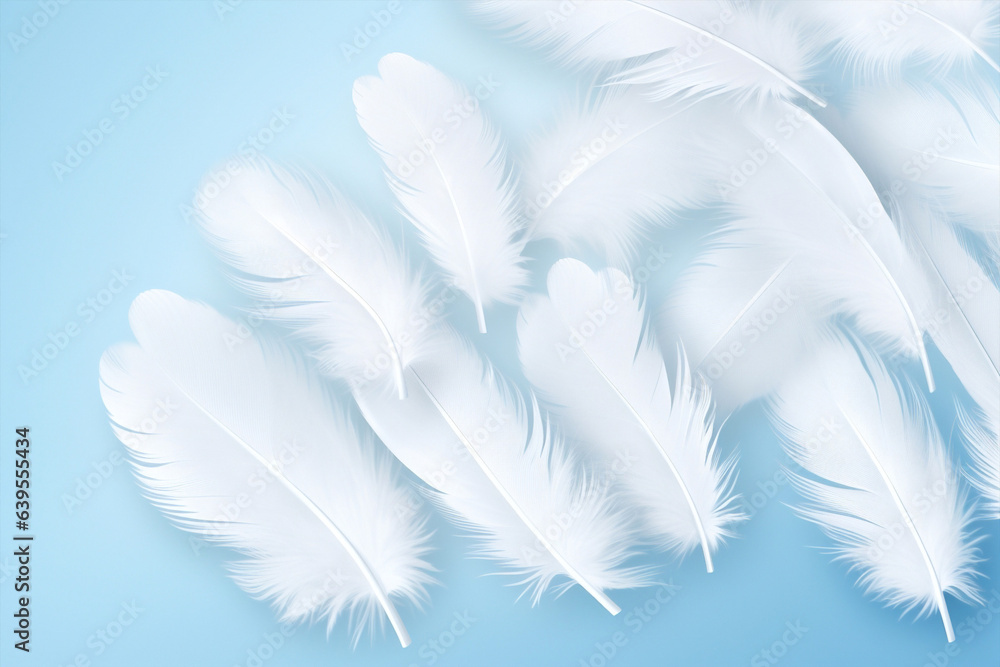 Soft wing white background feathers bird blue Soft wing white background feathers bird blue