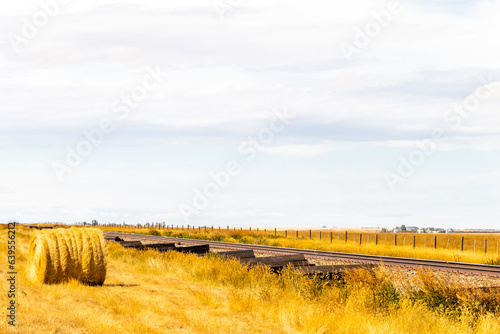 Fields and haybales. Vulcan County, Alberta, Canada