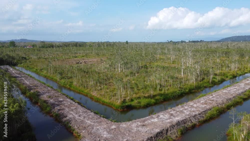 Aerial view of a ditch made to drain water surrounding an area of dry looking mangrove forest Aerial view of a ditch made to drain water surrounding an area of dry looking mangrove forest