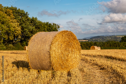 Bales of straw after harvesting, in rural Sussex
