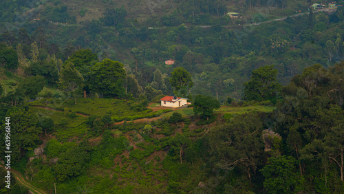 house on the hill