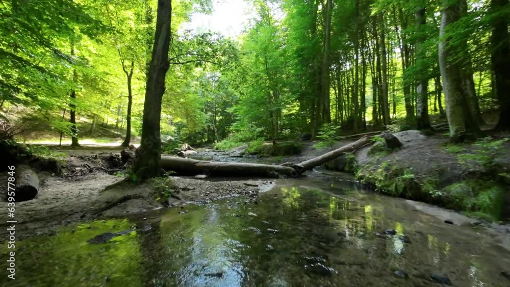 A small Creek near Gdynia, Poland. FPV drone flight through calming creek. A small Creek near Gdynia, Poland. FPV drone flight through calming creek.