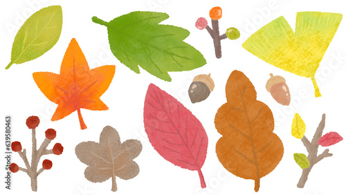 autumn plants, autumn leaves, ginkgo and acorns, hand-drawn illustrations of textured colored pencils and crayons / 秋の植物、紅葉やイチョウやどんぐり、質感のある色鉛筆・クレヨンの手描きイラスト