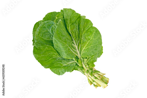 Foto Bundle of collard leaves isolated transparent png