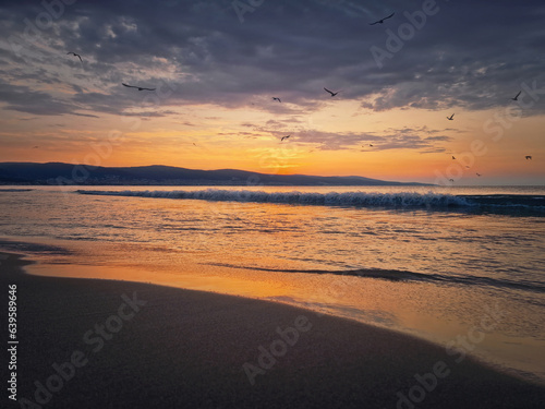 Fototapeta Naklejka Na Ścianę i Meble -  Sea sunrise with seagulls flying above the foamy waves. Peaceful morning seaside