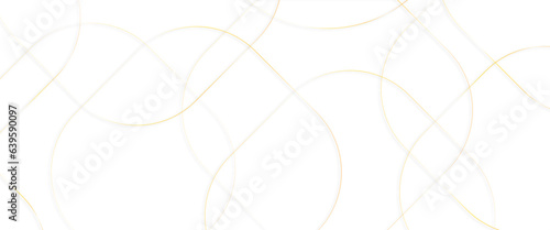 Abstract black circle shape with elegant gold lines on black background, black Business paper with white lines, gold silver polygon poster, royal premium geo name, new year circle Design.