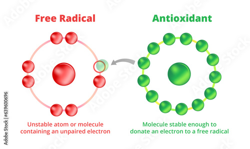 Vector scientific illustration of antioxidants and free radicals isolated. A free radical is an unstable molecule with unpaired electron. Antioxidant is a molecule stable enough to donate an electron.