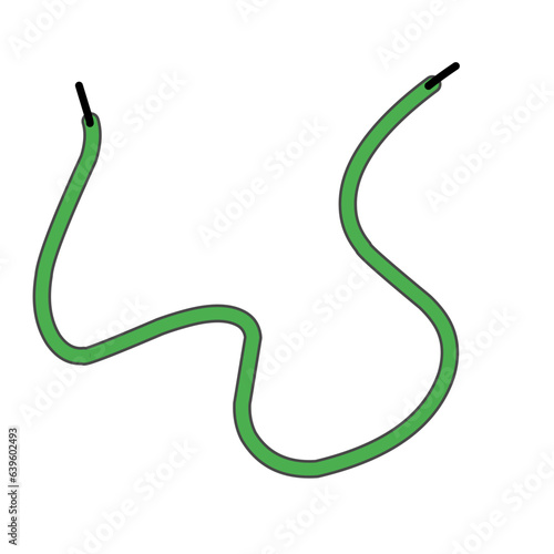 Green Shoelaces