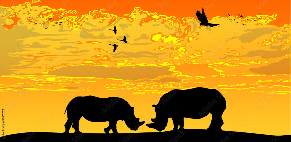 rinocerontes, vector, silueta, animal, atardecer, enamorados, ilustracion