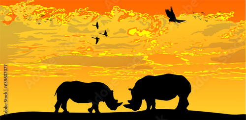 rinocerontes, vector, silueta, animal, atardecer, enamorados, ilustracion