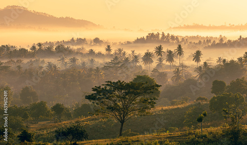 lombok  sunrise mist