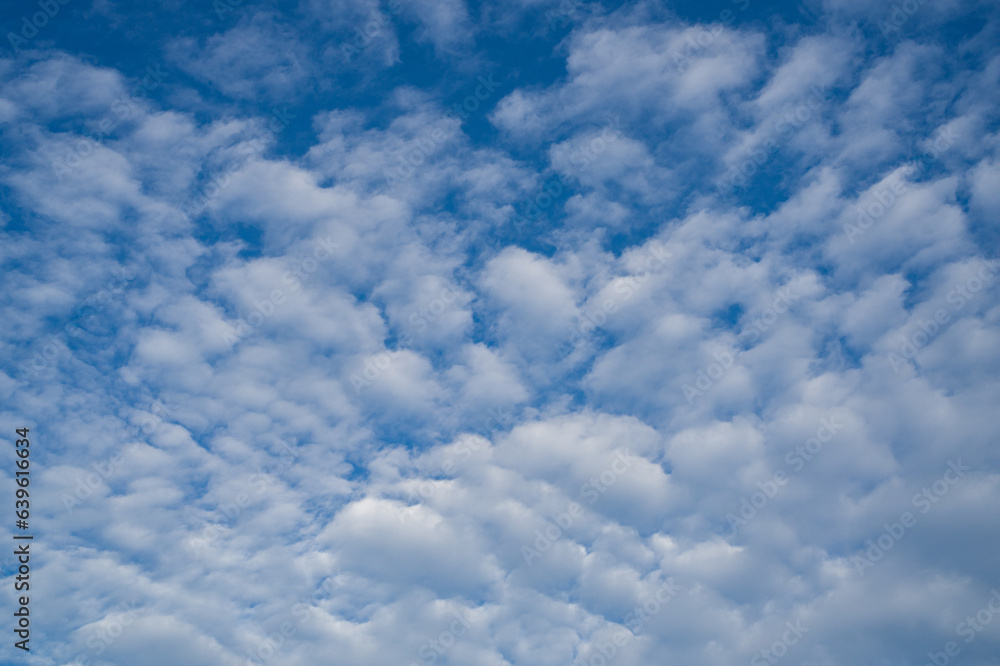 White clouds on a bright blue sky. White clouds on a bright blue sky.