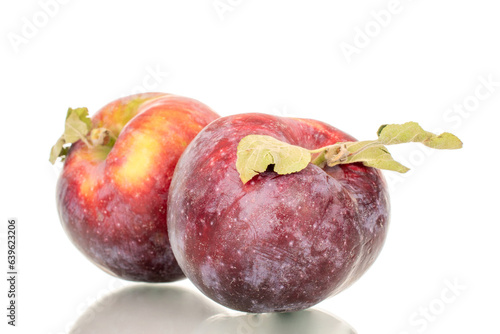 Two ripe juicy red apples, macro, isolated on white background.
