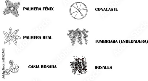Sketch vector illustration of floor plan design and names of plant and tree species to complete the map
