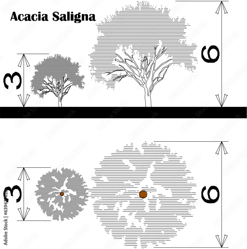 Obraz premium Vector sketch of plant and tree design illustration with size scale
