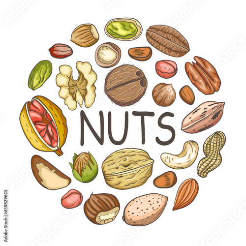 Background with various nuts.