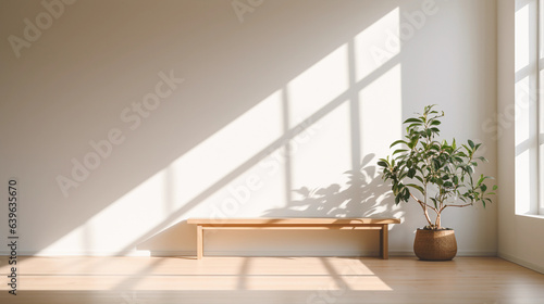 a simple, calming, zen - like indoor space, white walls, large windows, minimalist furniture, indoor plants, gentle afternoon light casting long shadows