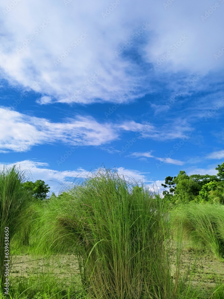 Blue sky and white cloud and amazing background Blue sky and white cloud and amazing background