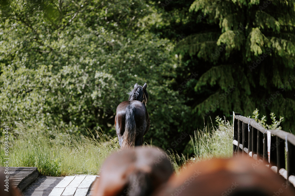 Obraz premium A majestic horse statue standing proudly on a bridge majestic horse herd freedom