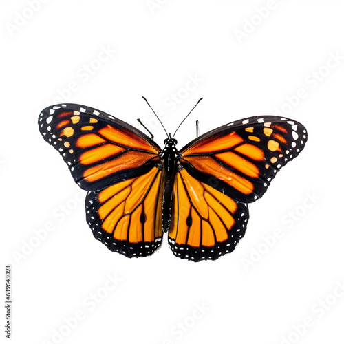 Papillon Monarque (Danaus plexippus) avec transparence, sans background