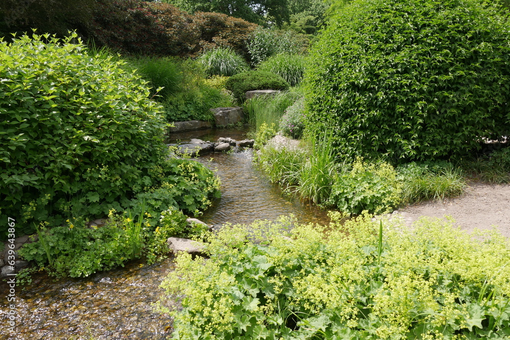 Wasserlauf im Japanischen Garten in Planten un Blomen Hamburg