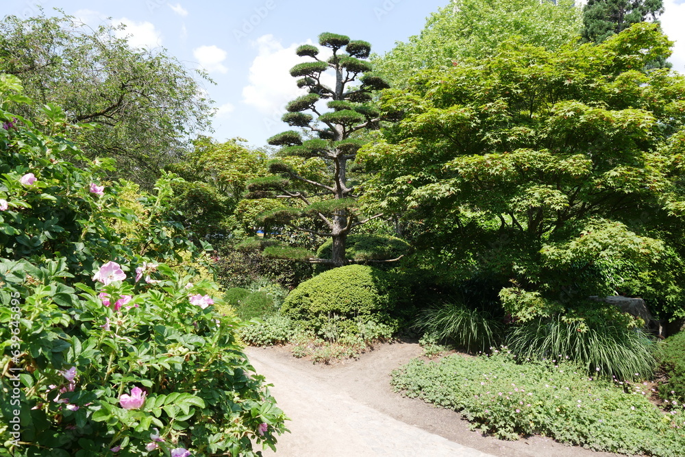 Naklejka premium Japanischer Garten Planten un Blomen Hamburg