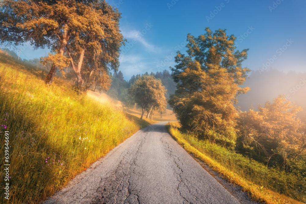 Fototapeta premium Rural road in mountains in autumn foggy morning. Nature. Landscape with country road, orange trees and yellow grass on the hill in fog, sky at sunrise in fall in Slovenia. Top view of roadway. Nature