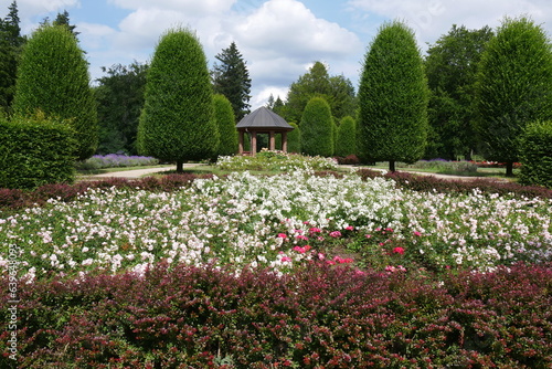 Blumenbeet im Altonaer Volkspark