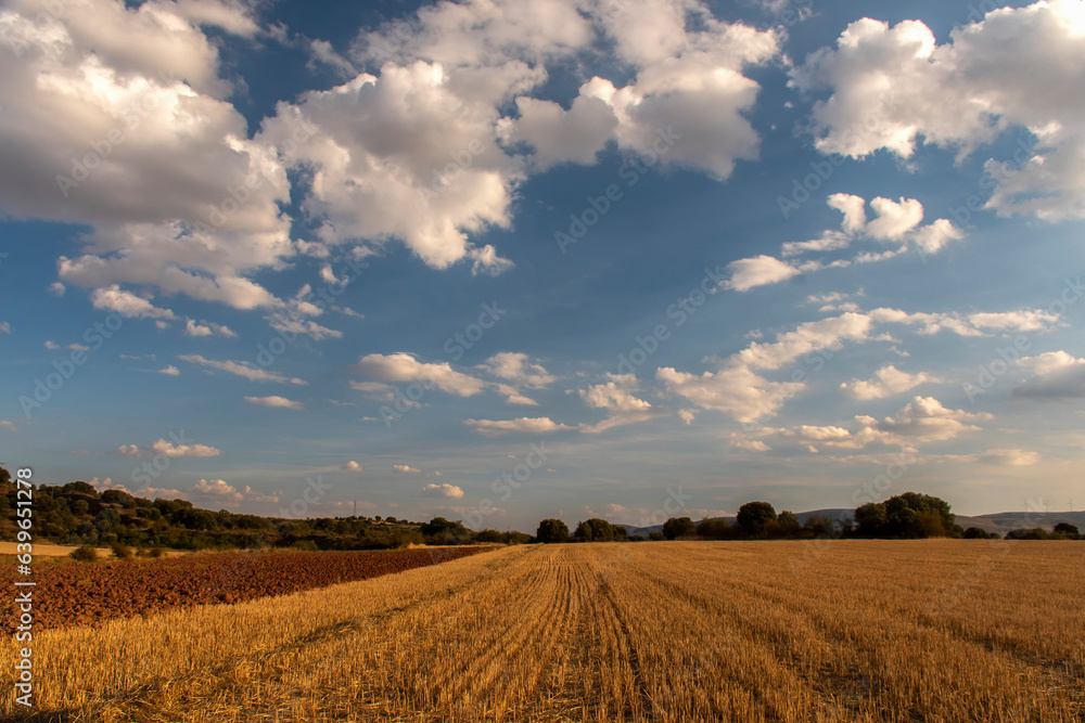 Stunning Summer Sunset Panorama of Harvested Cereal Fields and Clouds in Soria, Spain