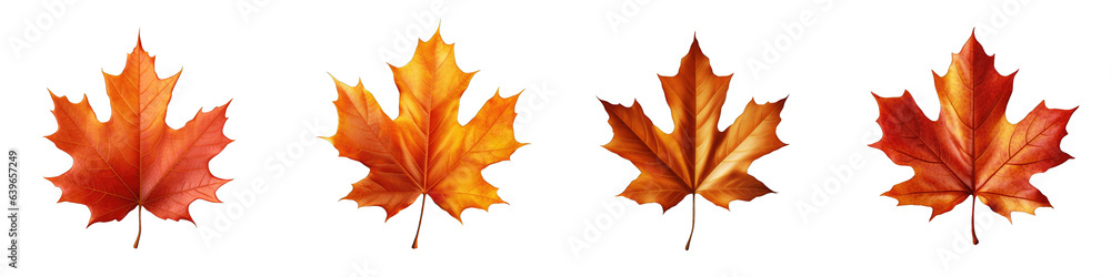 Autumn Leaf clipart collection, vector, icons isolated on transparent background Autumn Leaf clipart collection, vector, icons isolated on transparent background