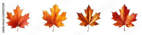 Autumn Leaf clipart collection, vector, icons isolated on transparent background