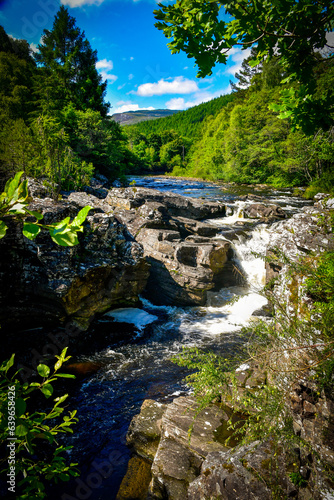 river in the forest