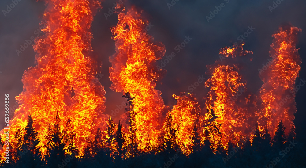 big fire in the middle of the leafy forest with high flames and polluting black smoke in high resolution