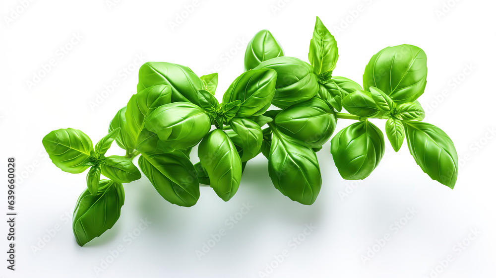 Levitating basil leaves on a white isolated background. Generative Ai Levitating basil leaves on a white isolated background. Generative Ai