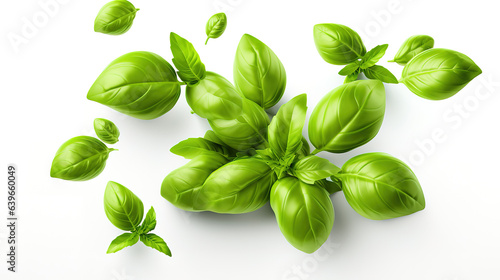A green basil leaf with the word basil on it. Generative Ai