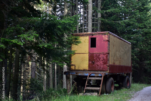 Old truck trailer in the forest. Rusty container in the woods. 