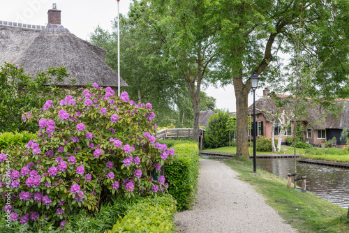Village of Giethoorn with its picturesque houses on small islands  narrow wooden bridges and beautiful vegetation.