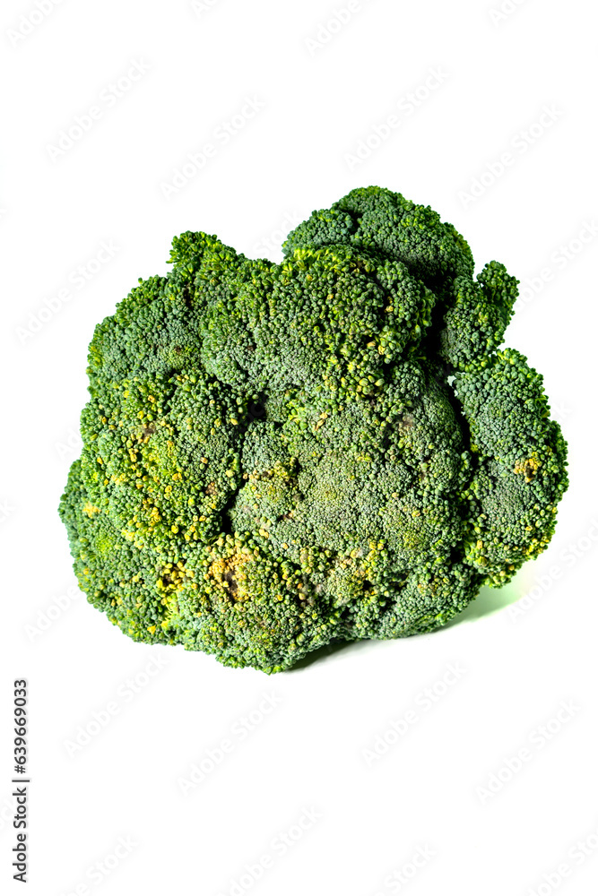 Delicious fresh broccoli isolated on a white background Delicious fresh broccoli isolated on a white background