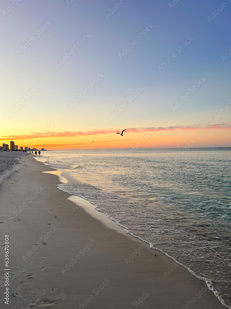 custom made wallpaper toronto digitalseagull on the coast at sunset